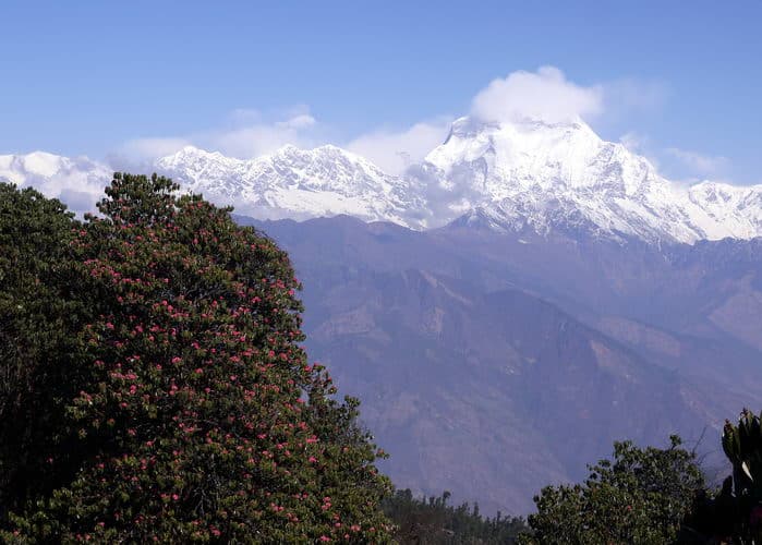 Непал-трек к Базовому лагерю Аннапурны