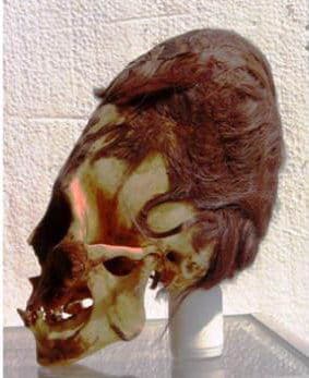 черепа в музее Паракаса