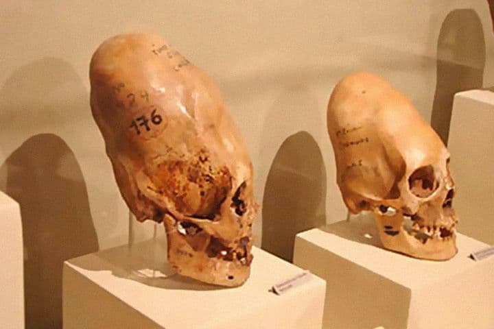 черепа в музее Паракаса