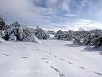 зима в горах Крыма