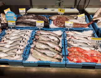 Треккинг в Португалии Тропа Рыбаков